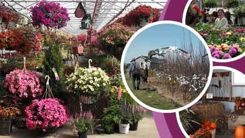 Frenchtown Greenhouse LLC