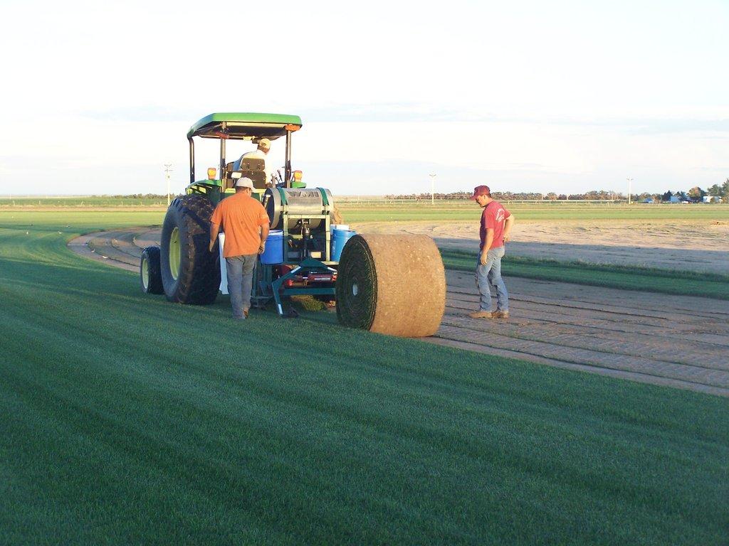 High Mesa Sod Farm