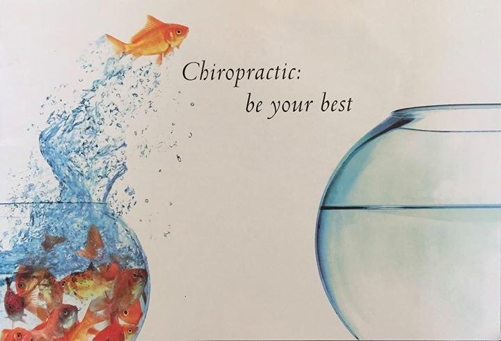 Kori-Chiropractic