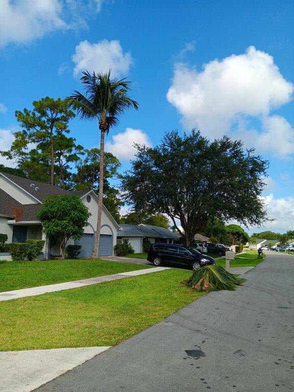 Green Earth Landscaping & Lawn Care - West Palm Beach