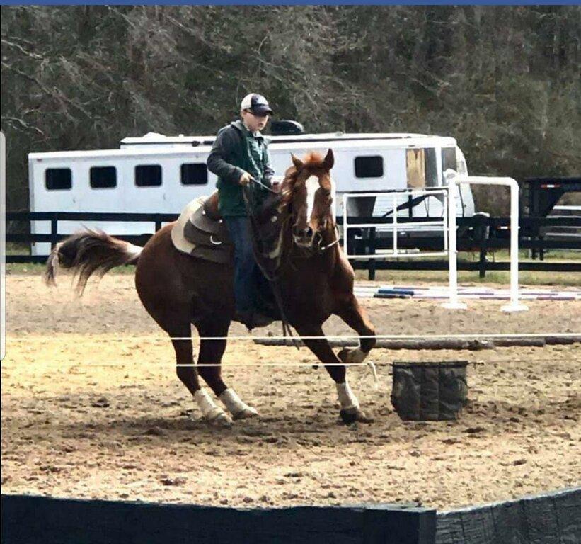 Honey Ridge Stables