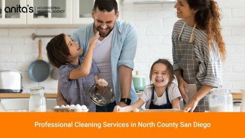 Anita's Housekeeping Referral Agency