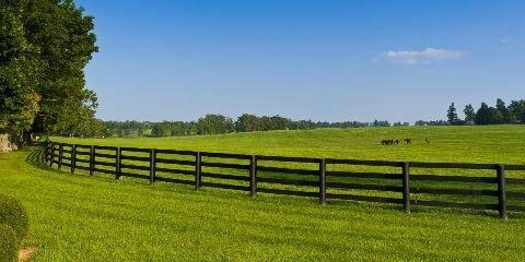 Bluegrass Treated Wood