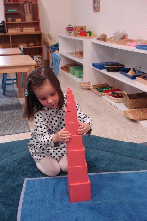 Montessori Fun