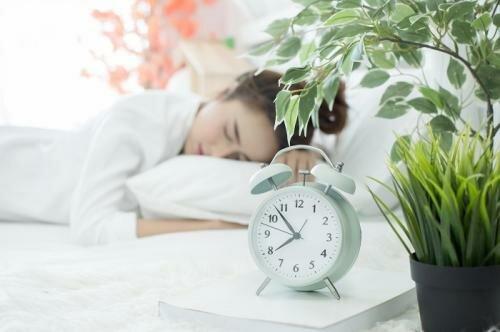 Holistic Sleep Solutions