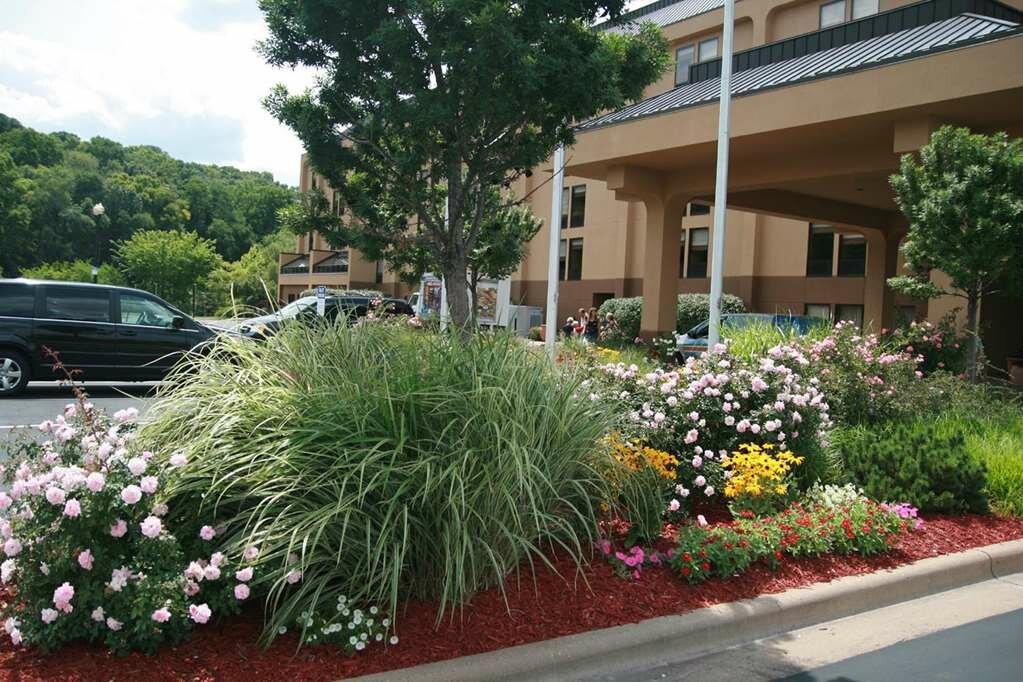 Hampton Inn Peoria-East At The River Boat Crossing