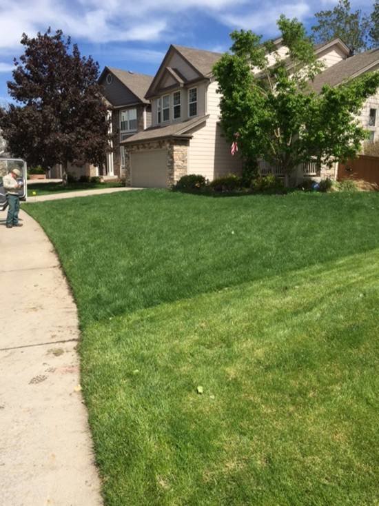 TruGreen Lawn Care