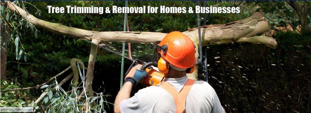 A & D Tree Cutters Unlimited LLC