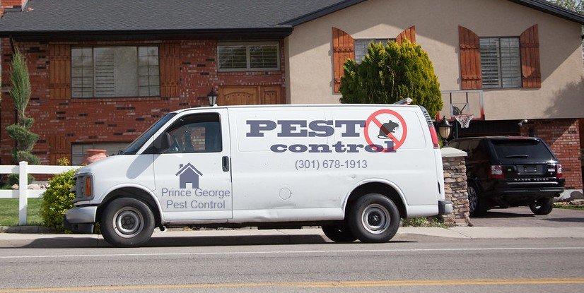 Augusta Pest Control