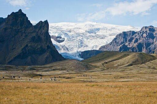 Strandsel Iceland Tours