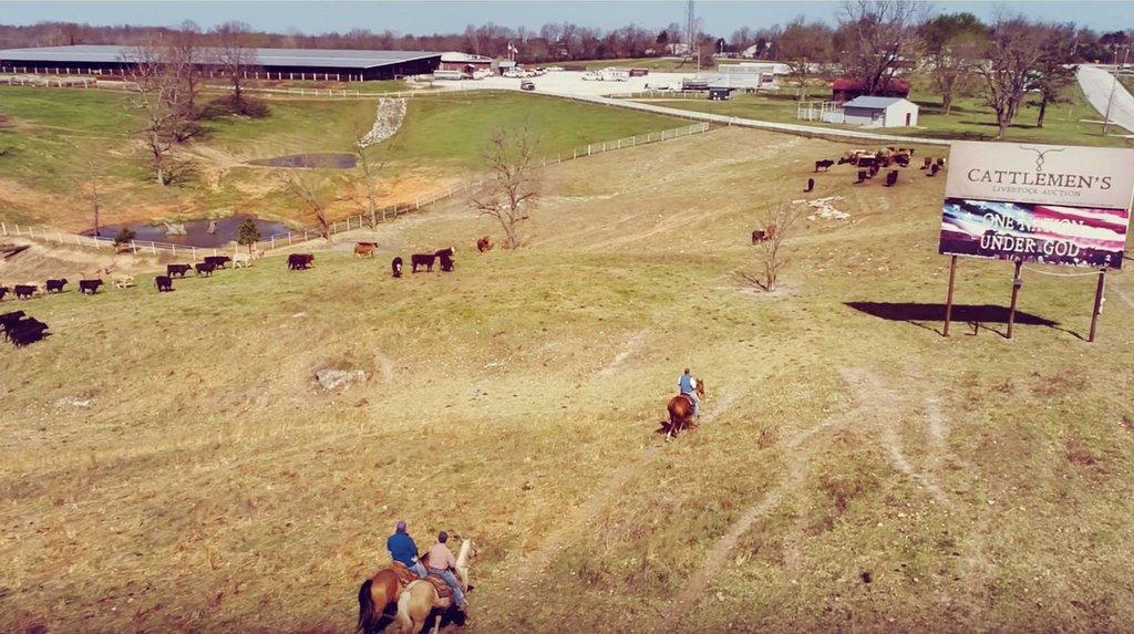 Cattlemen's Livestock Auction