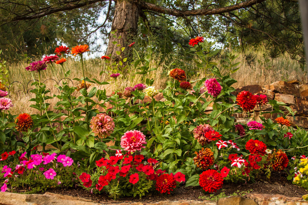 Billings Nursery & Landacaping