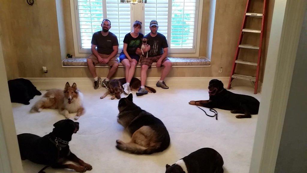 Breakthrough K9 Training