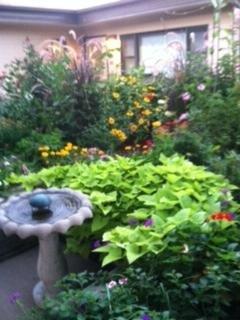 The Courtyard of Loveland Assisted Living