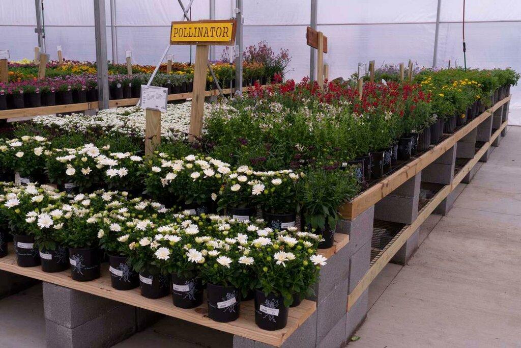 Green Acres Nursery & Supply