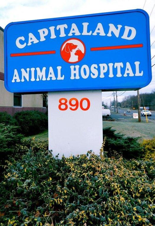 Capitaland Animal Hospital