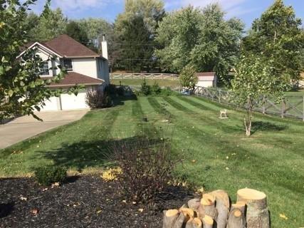 Absolute Lawn Care & Snow Removal