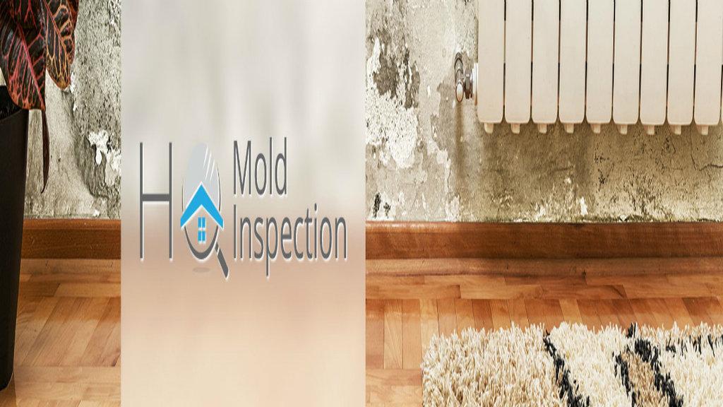 HQ Mold Inspection