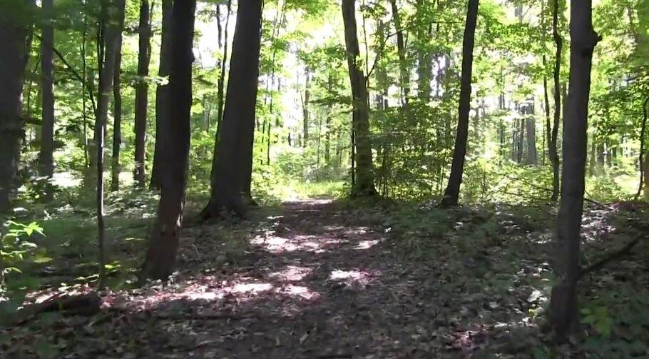 Girl Scouts of Western New York - Camp Windy Meadows