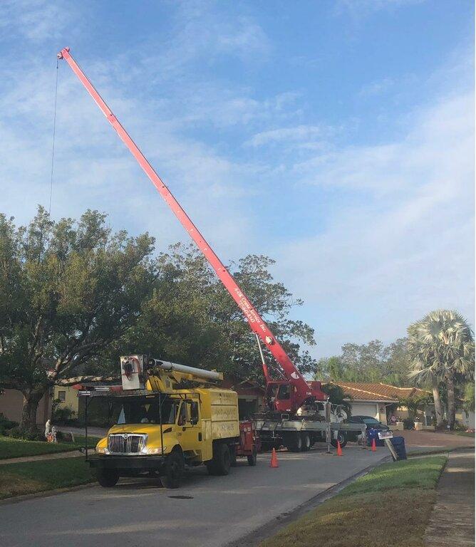 Bam's Tree Service