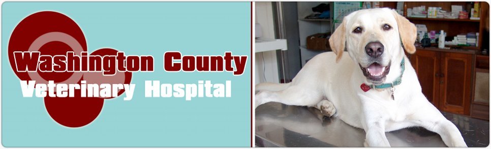 Washington County Veterinary Hospital