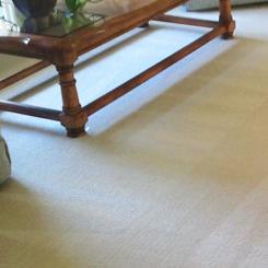 Steam Power Carpet Cleaning