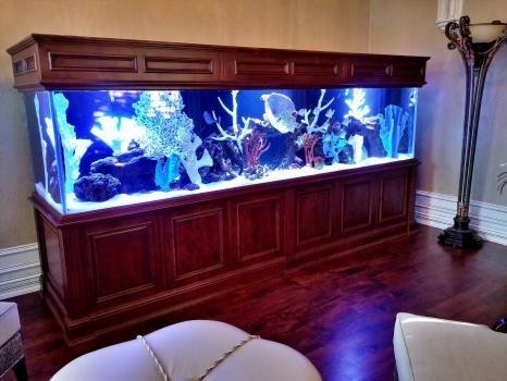 Living Art Aquatics, Inc