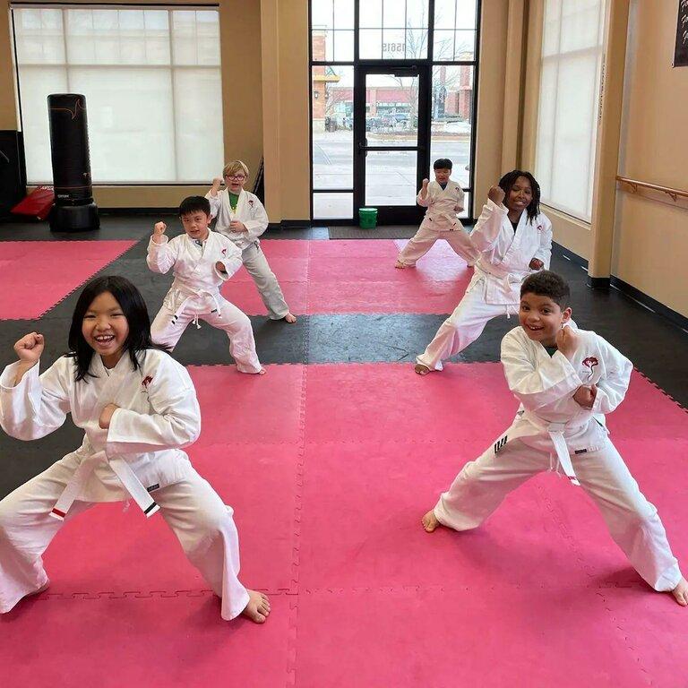 Dojo Karate - Eden Prairie