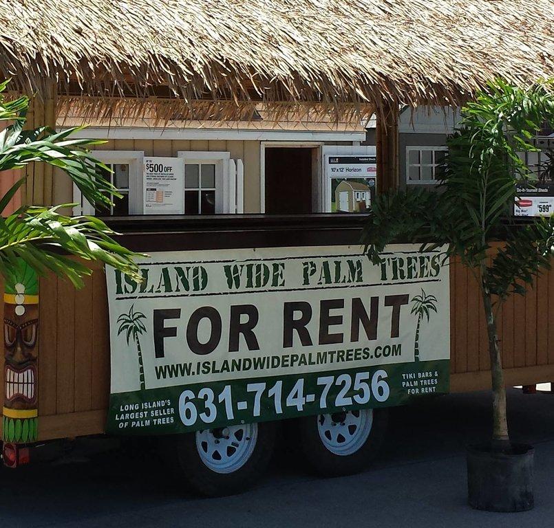 Island Wide Palm Trees