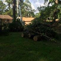 Mid State Tree Service