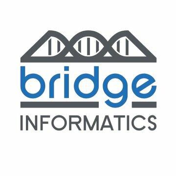 Bridge Informatics