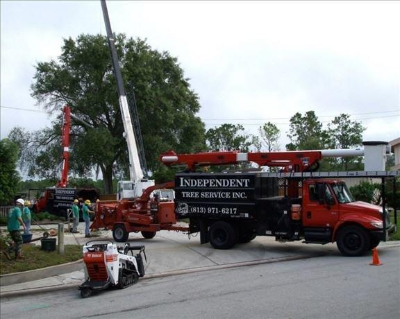 Independent Tree Service, Inc