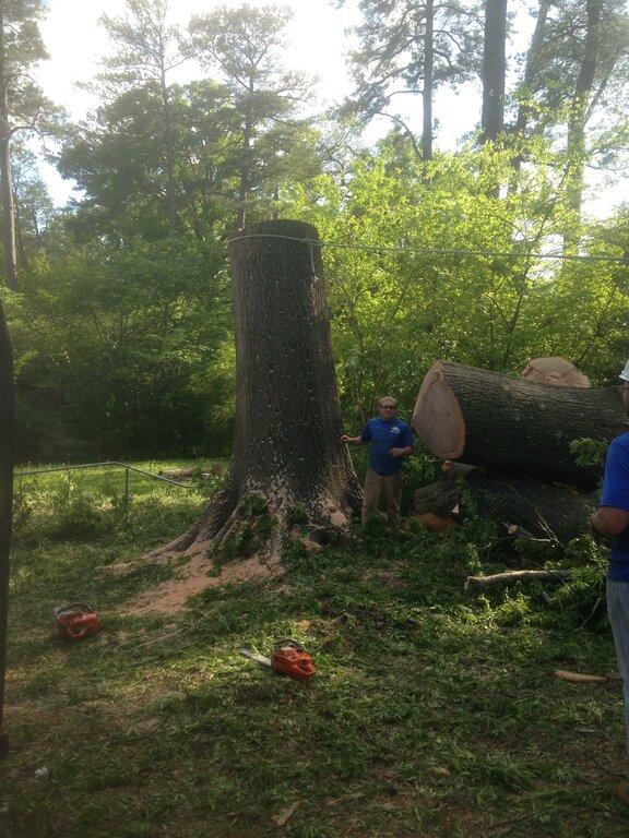 Jon's Tree Service