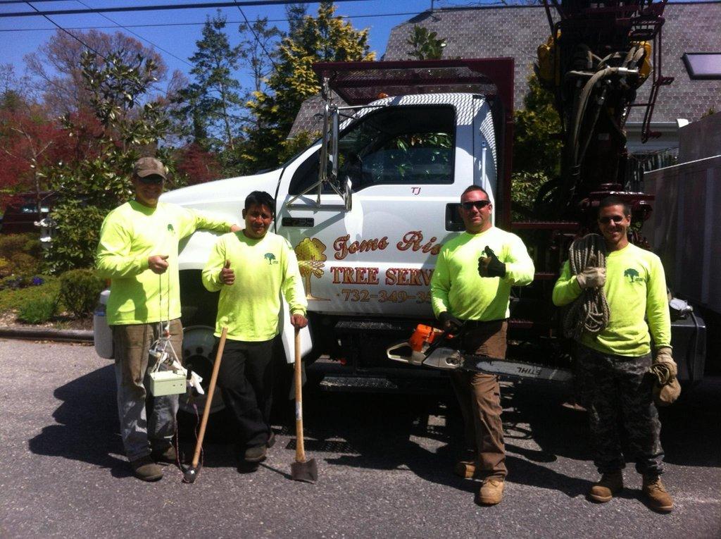 Toms River Tree Service