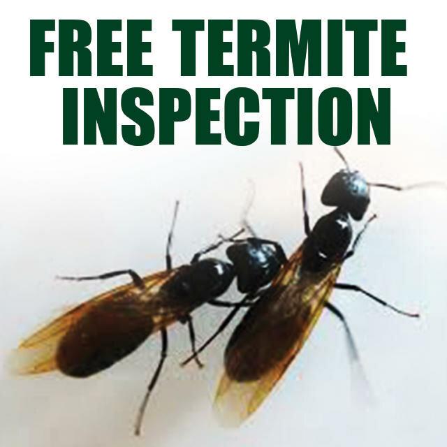 Kilter Termite and Pest Control