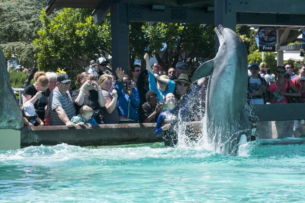 SeaWorld San Diego