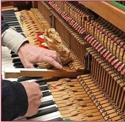 D. Evans Piano Tuner