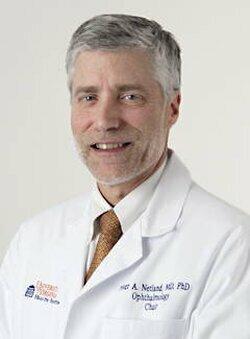 Peter A Netland, MD, PHD