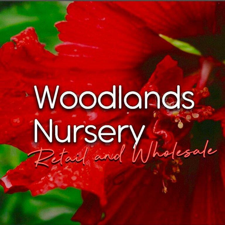 Woodlands Nursery