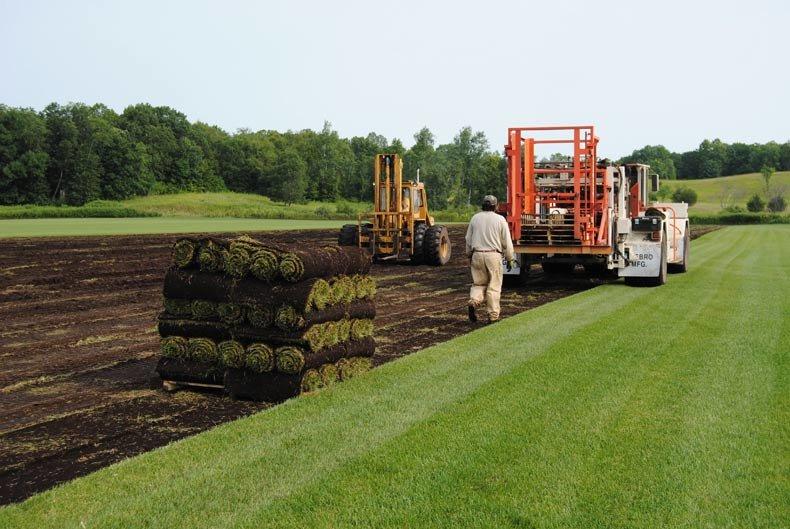 B & B Hoffman Sod Farms