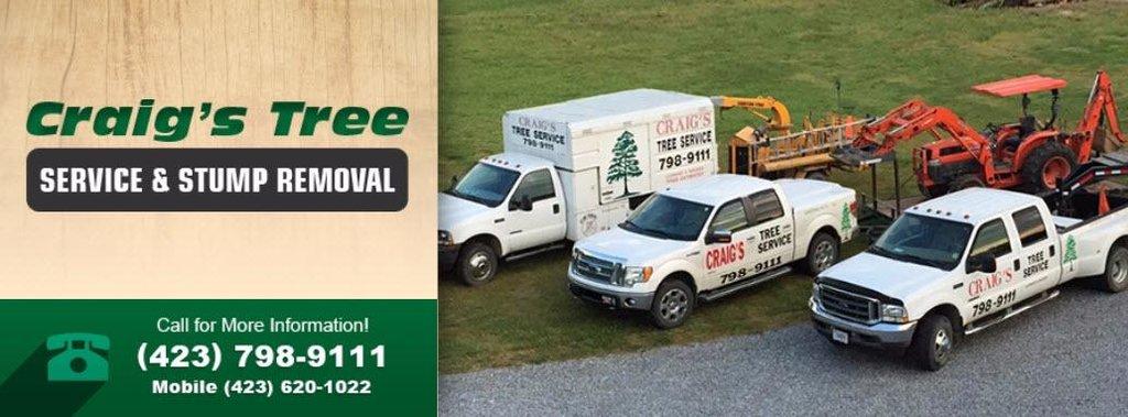 Craig's Tree Service & Stump Removal