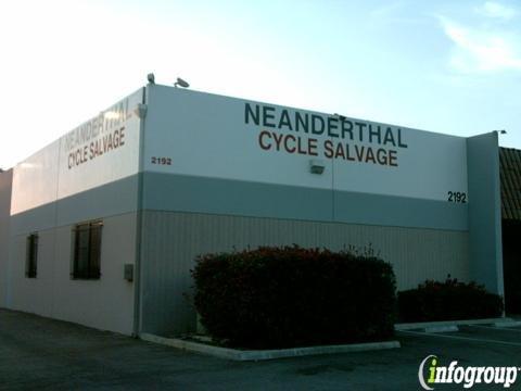 Neanderthal Cycle Salvage