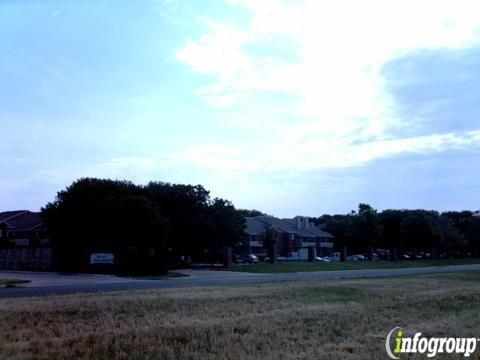 Wood Meadow