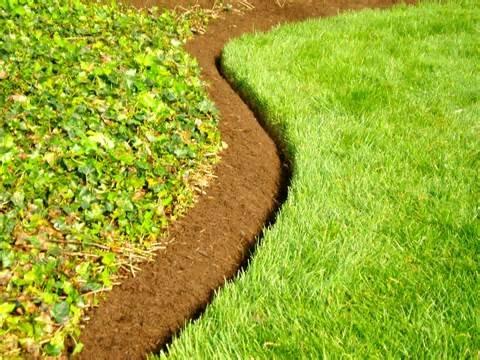 Creation Landscaping & Lawn Care