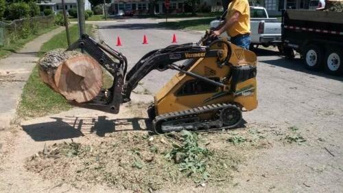 Double D's Stump Grinding & Removal