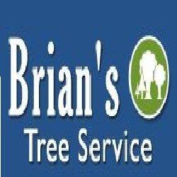 Brian's Tree Service