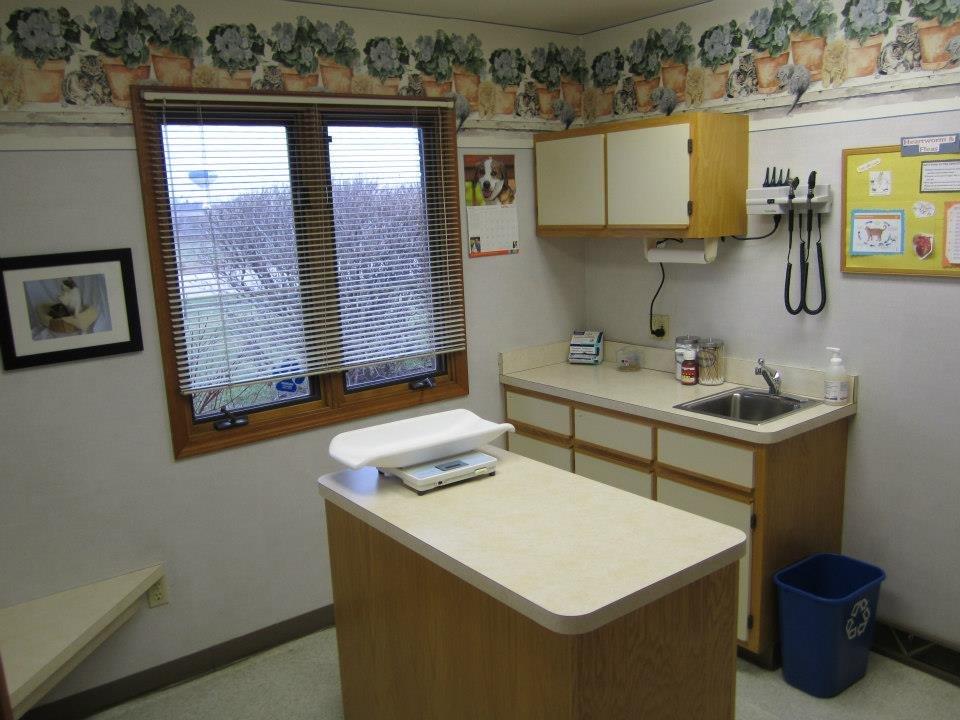 Lakewood Animal Hospital