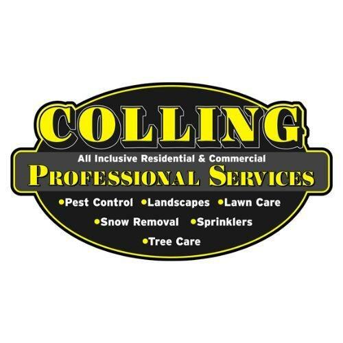 Colling Professional Services