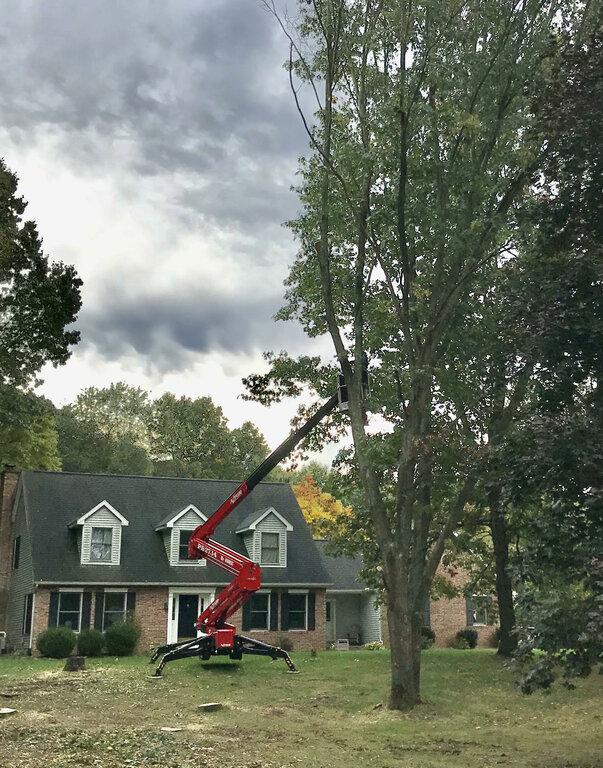 J & B Professional Tree Service, Inc