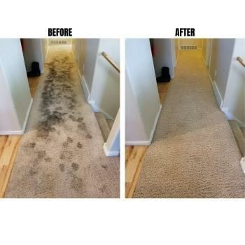 Kelly's Carpet Cleaning and Restoration